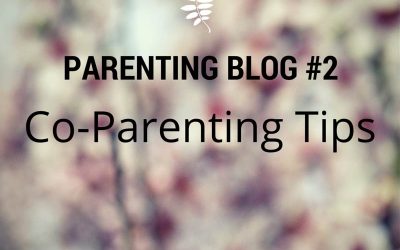 Parenting Blog #2: Co-Parenting