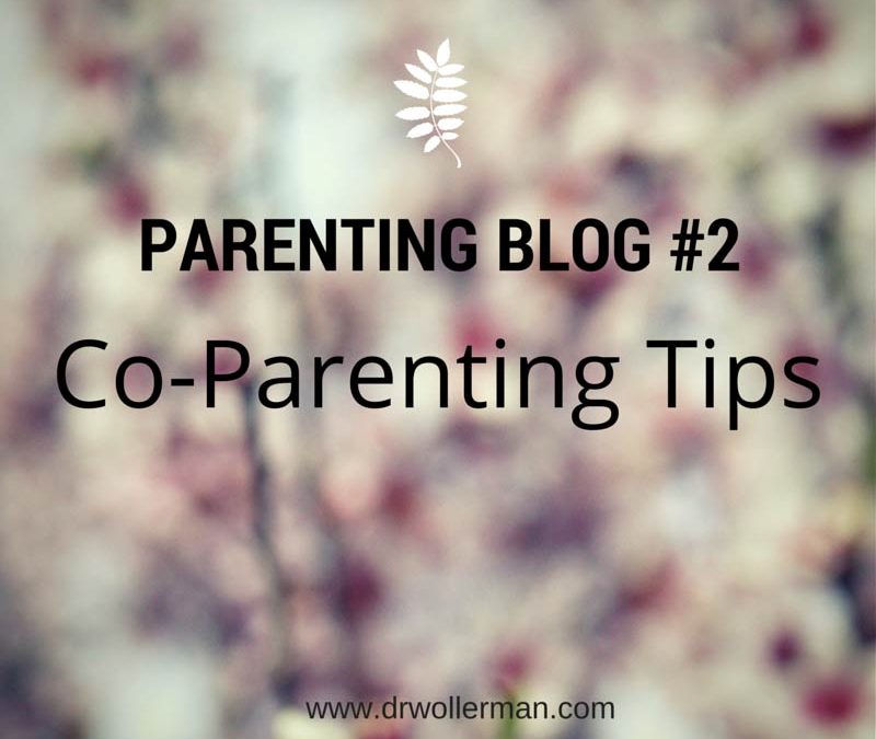 Parenting Blog #2: Co-Parenting
