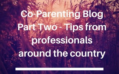 Co-Parenting Blog Part 2