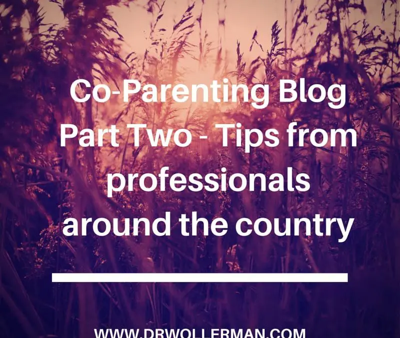 Co-Parenting Blog Part 2