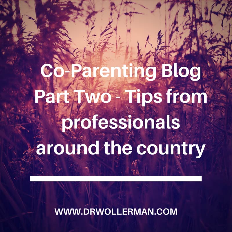 Co-Parenting Blog Part 2