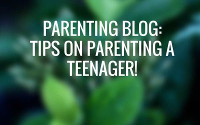 Parenting Blog: Tips on Parenting your Teenager