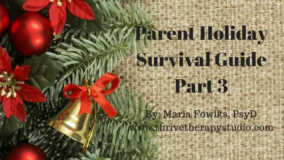 Parent Holiday Survival Guide (Part 3)