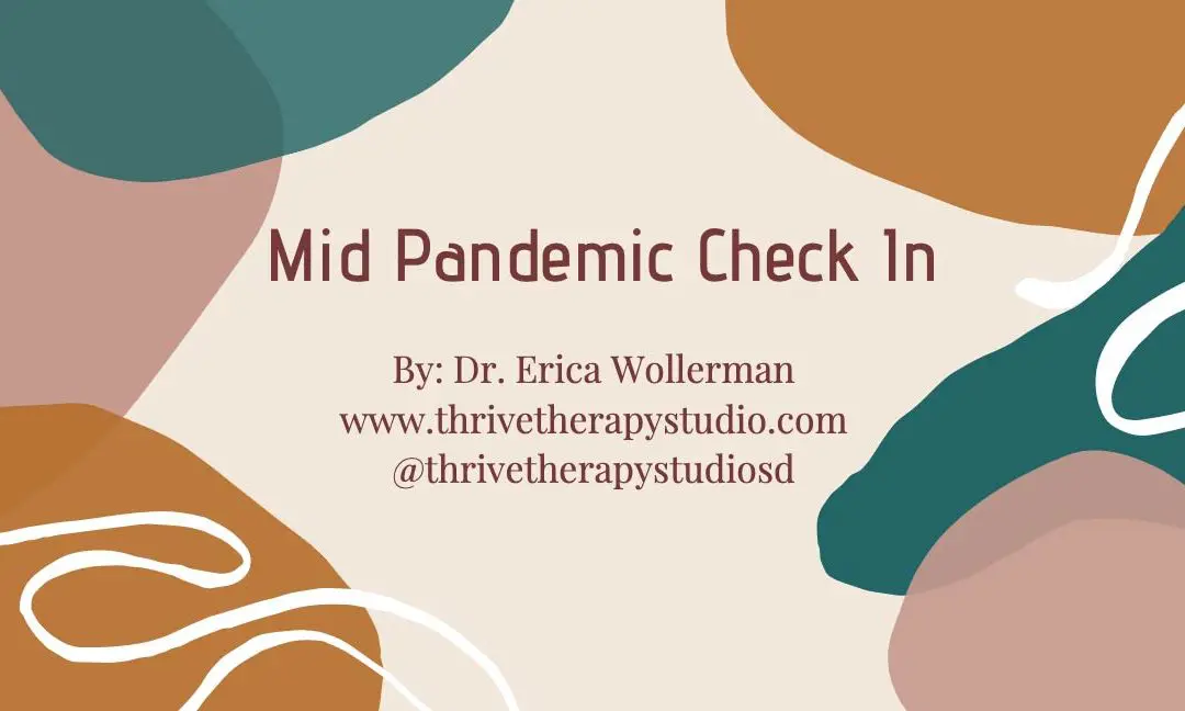 Mid Pandemic Check In