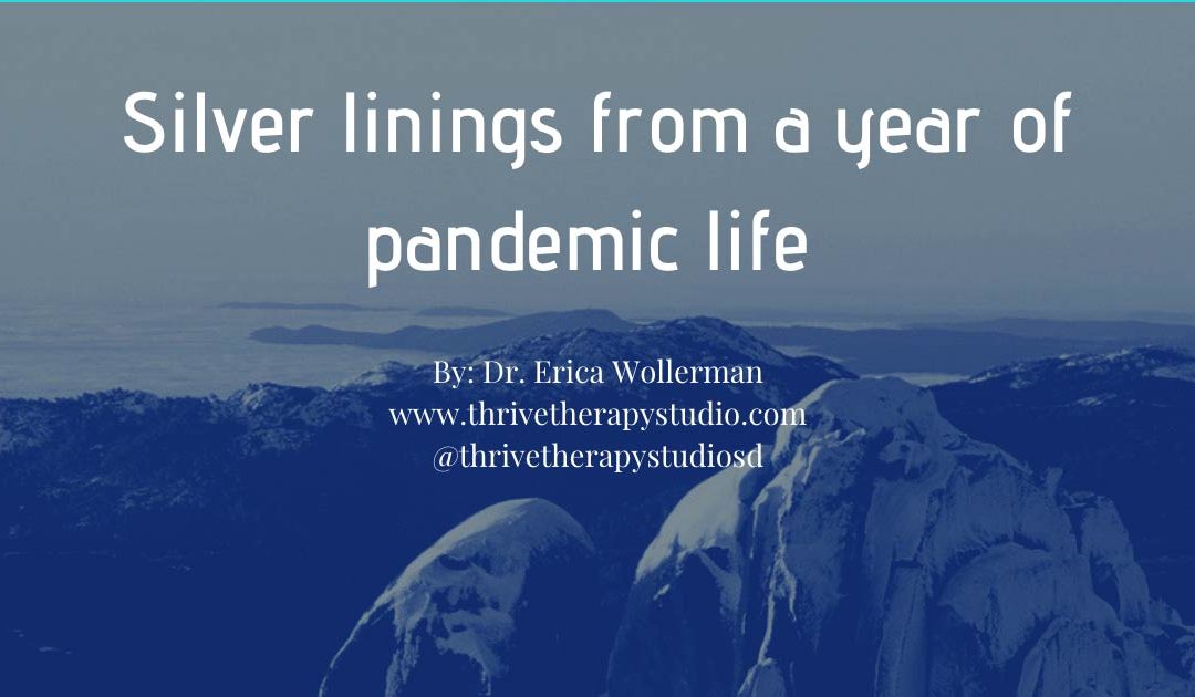 Silver linings from a year of pandemic life