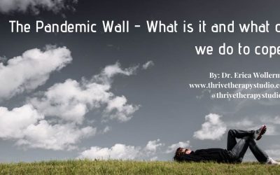 The Pandemic Wall – What is it and what do we do to cope?