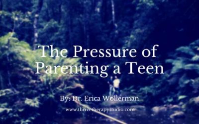 The Pressures of Parenting a Teen