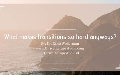 What makes transitions so hard anyways?